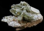 Anatase and Chlorite Quartz - Pakistan #38661-6